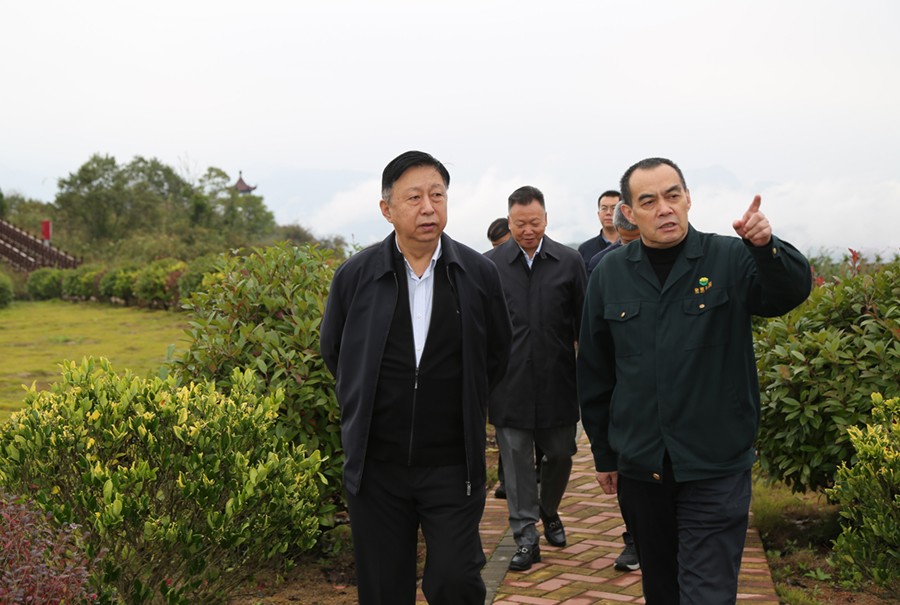19-2021年10月，原國(guó)土資源部副部長(zhǎng)汪民蒞臨公司調(diào)研。.jpg
