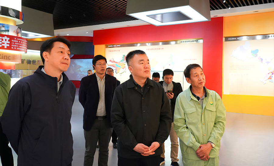 10.4-2024年04月，自然資源部礦保司副司長(zhǎng)王博蒞臨公司調(diào)研。.jpg