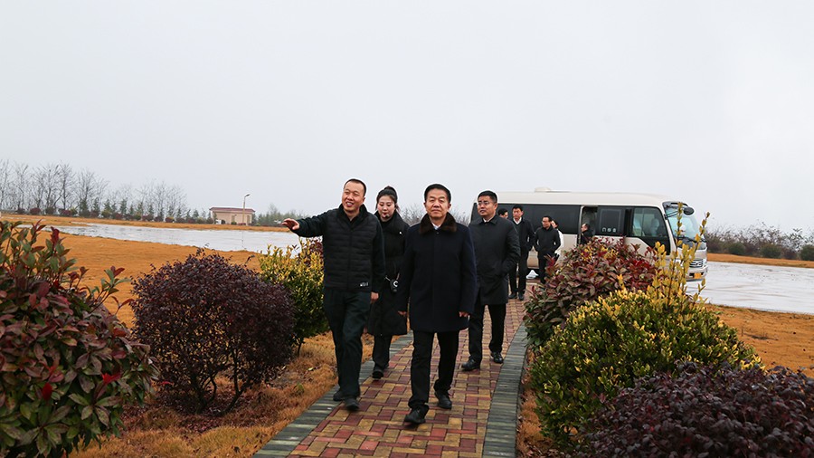 45-2020年12月，省高級(jí)人民法院黨組成員、副院長(zhǎng)任建國(guó)蒞臨金徽股份調(diào)研知識(shí)產(chǎn)權(quán)司法保護(hù)工作。.jpg